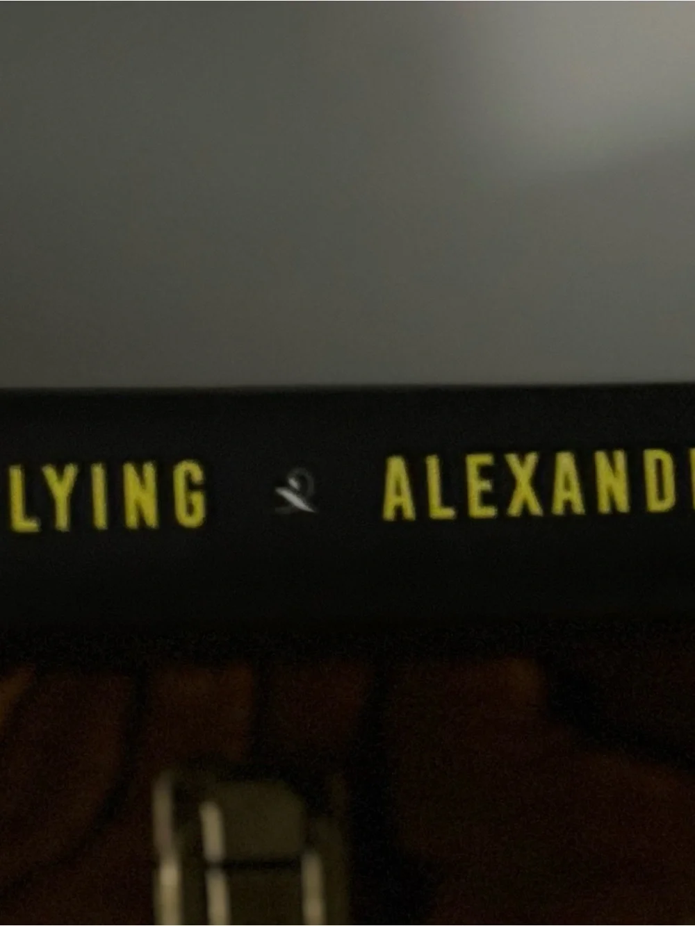 The Fine Art of Lying Alexandra Andrews Target Exclusive First Edition